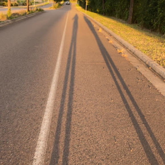 Meet your Posher, Ruby - Picture 1 of 1